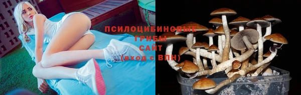 альфа пвп Осташков